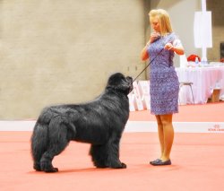 Reeves_Morgan_Confirmation