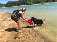 Newfoundland Returning Life Vest