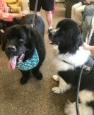 Gunther & Willow Nursing Home